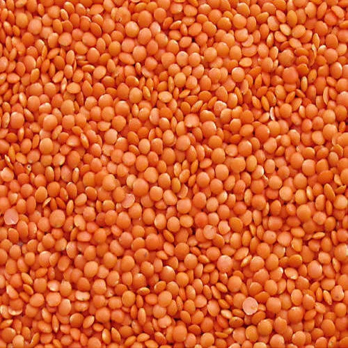 Masoor Dal (Red Lentils)