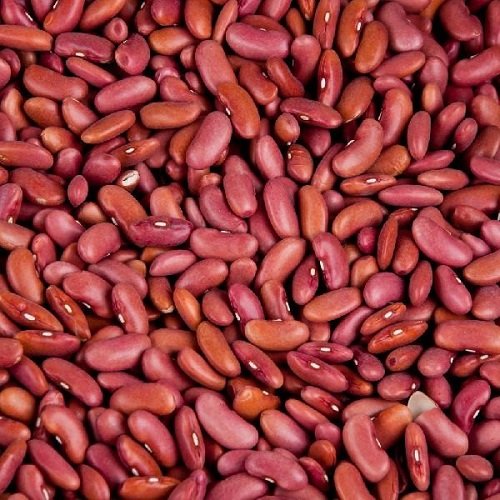 Rajma (Kidney Beans)
